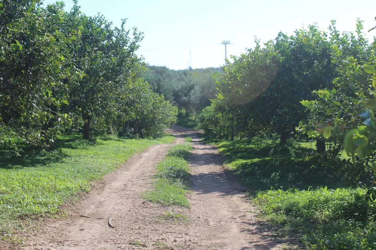 Il Bagolaro Hotel Noto Alloggio per agriturismo